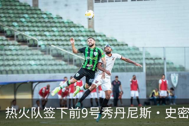 热火队签下前9号秀丹尼斯·史密斯，拳头力量重返NBA